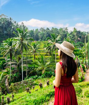 dt_personalWebsite-AdobeStock_682007280-cropped