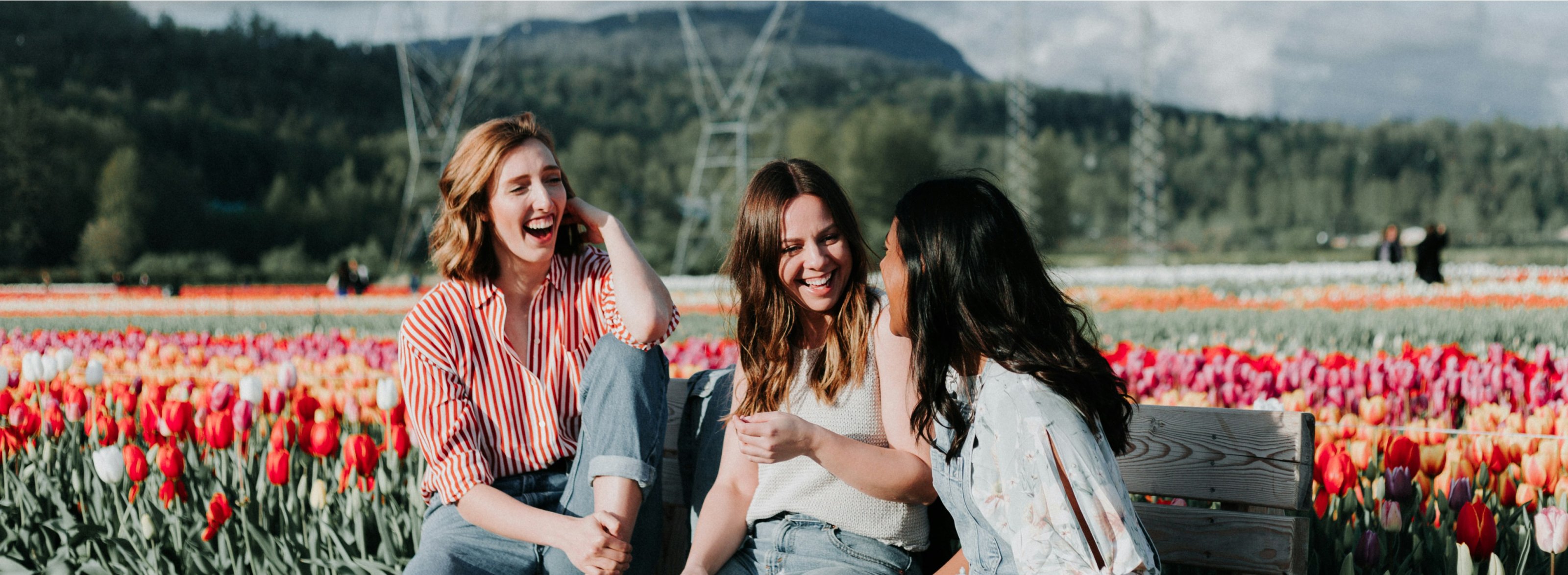 dt_personalWebsite-multipage-AdobeStock-130559849-cropped